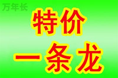 广东省广州市越秀区知名墓地在哪里？
